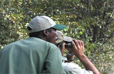 glassing